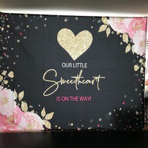 Backdrop for gender reveal or baby shower